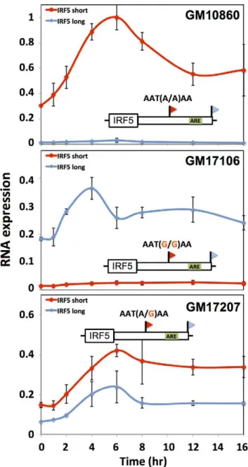 Figure 7. Genetic variation in IRF5 alternative polyadenylation and recovery of steady-state expression after induction