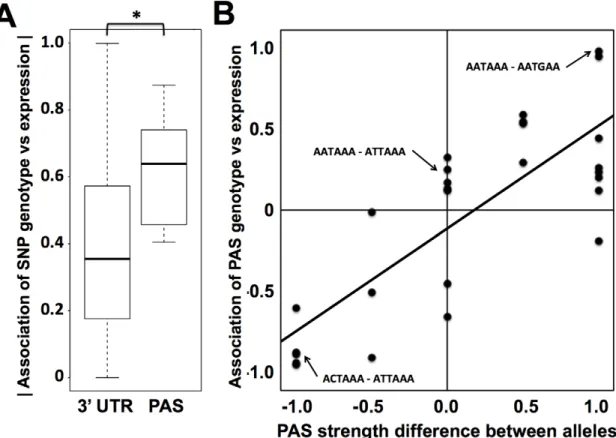 Figure 3. Sequence variation in polyadenylation signals as a predictor of expression change across human individuals