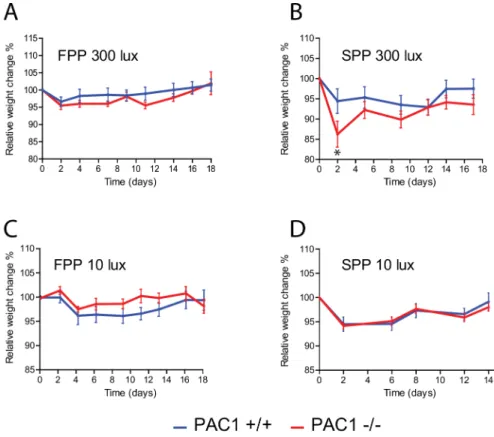 Fig 3. A-D. Weight profiles (mean ± SEM) of during RF regime of PAC1+/+ (PAC1+/+) (blue line) and PAC1 (PAC1-/-) receptor deficient mice (red line) shown in Fig 2