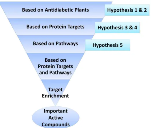 Figure 7. Step-wise representation of the discovery of important/potential active compounds that have been discovered, and the various hypotheses made during these stages.