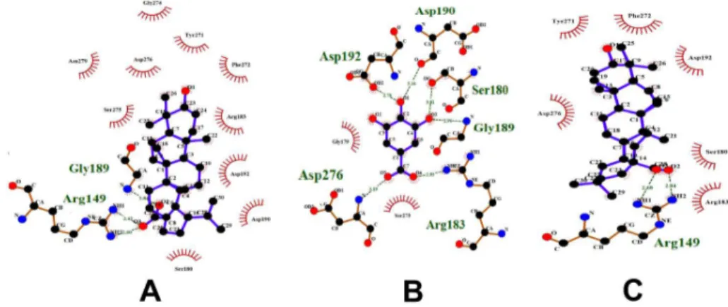 Figure 15. Compounds docked to DNA polymerase beta. (A) Betulinic acid, (B) Gallic acid and (C) Oleanolic acid