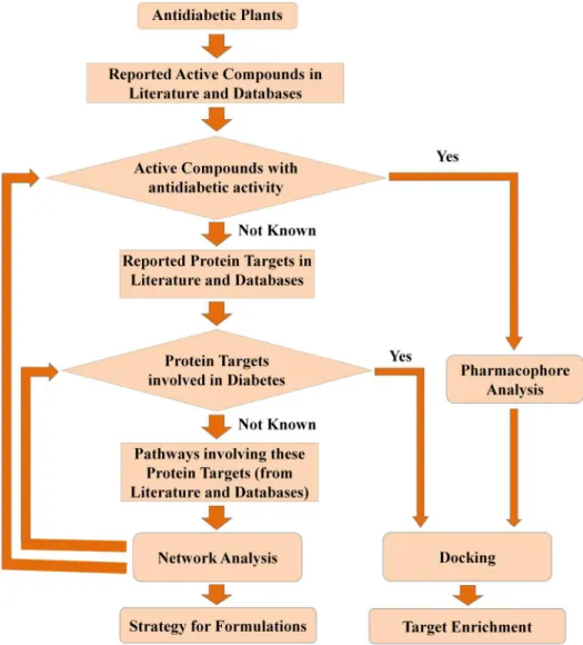 Figure 18. The step-by-step methodology used in this study. The active compounds of anti-diabetic plants, their protein targets, and the pathways in which these proteins are involved were retrieved from literature and databases