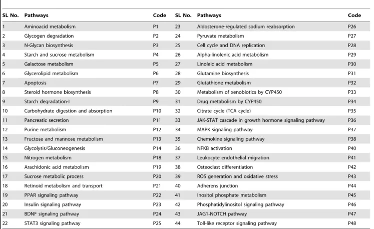 Table 4. Diabetes-related pathways and their respective codes.