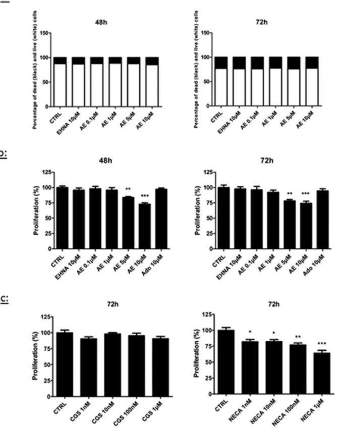 Figure 1. Effect of adenosine on LEC viability and proliferation. Cell viability (a) and proliferation (b–c) were evaluated in HMVEC-dLy ( = LEC) cultured for 48 h (left panel) or 72 h (right panel) in medium containing 2% FBS (CTRL)