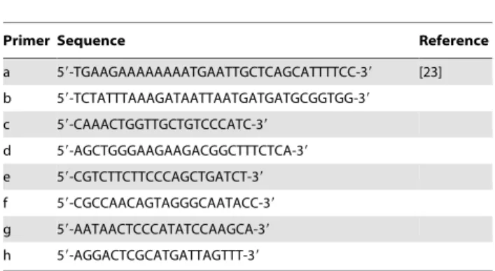 Table 1. Sequences of oligonucleotides used in this study.
