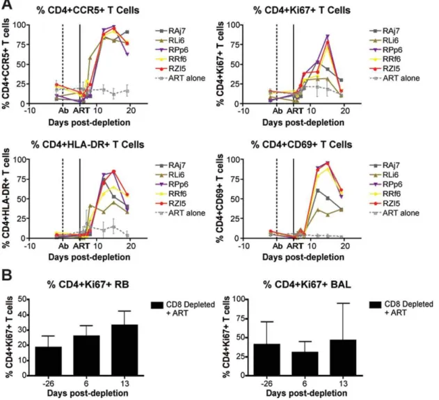 Figure 7. CD8+ lymphocyte depletion results in a rise in activated CD4+ T cells. (A) Longitudinal assessment (individual animals from CD8- CD8-depleted group and mean and s.d