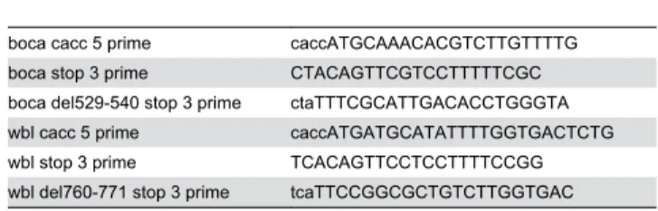 Table 1. Primers used for amplification and subcloning full length  and  KDEL/KEEL  deleted  versions  of  Boca  and Windbeutel into an expression vector.