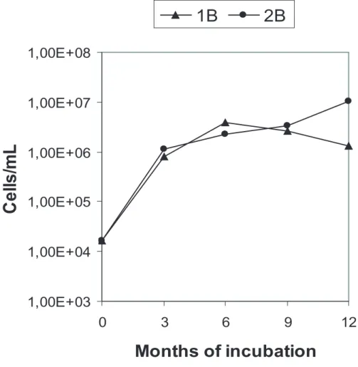 Fig. 1. Cell concentration in the liquid phase of the two oxic microcosms 1B (with CH 4 ), and 2B (with acetate), determined by DAPI staining and fluorescence microscopy.