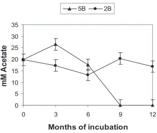 Fig. 4. Acetate consumption in microcosms 2B (aerobe with acetate) and 5B (anaerobe with acetate)
