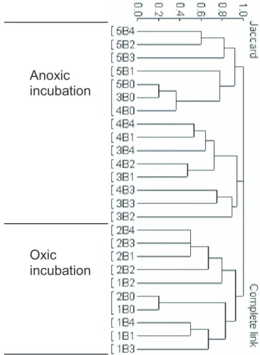 Fig. 7. Clustering of samples based band patterns from the DGGE gel in Fig. 6. The sample names are constructed with microcosm name followed by sampling number