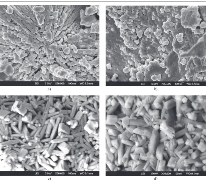 Figure 6.  FESEM of mullite precursor gels doped with Cobalt sample G 1  and sample G 5  sintered at 1000°C and 1300°C