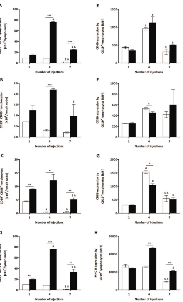 Figure 3. Total number of CD40 + , CD80 + , CD86 + and MHC II + B cells and their expression from P 