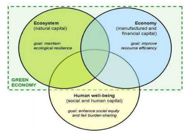 Figure 1 Main features of a sustainable economic development as transition to a green economy  Source: European Environment Agency 