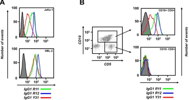 Table 3. Flow cytometry binding of IgG1 R11, R12, Y31, and control antibodies to PBMC from patient CLL-1.
