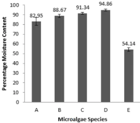 Figure  1  illustrates  the  share  of  micro-phytoplanktons  in  the  water  column collected at Flic en Flac