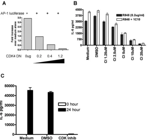 Fig. 2. Effect of CDK inhibition on AP-1 function. A) 293T cells were transfected with increasing amounts of a plasmid encoding kinase dead CDK4, together with a construct producing murine TLR7 and an AP-1-luciferase reporter plasmid