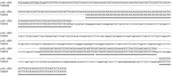 Figure 2. Alignments of the DinoSL-containing cDNAs obtained in this study (DinoSL) with their corresponding genomic (#) or cDNA sequences (##) reported previously [7,9]