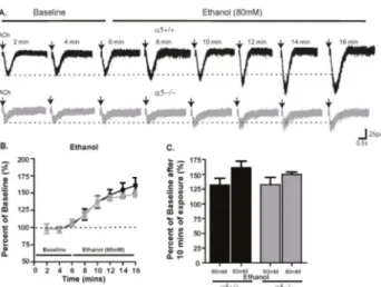 Figure  5.    The  presence  of  α5α4*  nAChR  does  not  affect ethanol-mediated  potentiation  of  ACh-induced  nicotinic current