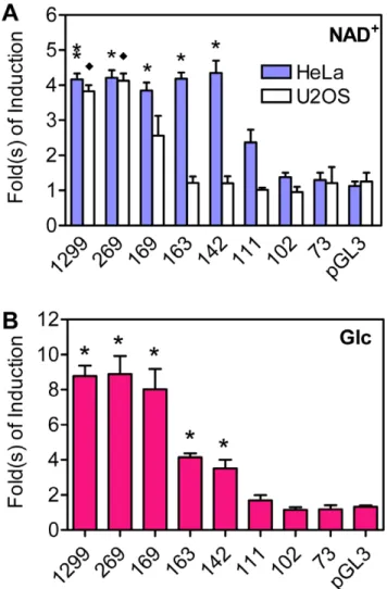 Figure 1. The induction of truncated Txnip promoters by NAD + (A) or Glucose (B). Numbers under bars indicate length (upstream of the transcription start site) of corresponding Txnip promoters