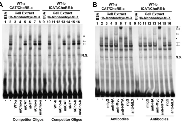 Figure 4. Responses of wild-type (WT) or ChoRE mutant Txnip promoters to NAD + or glucose
