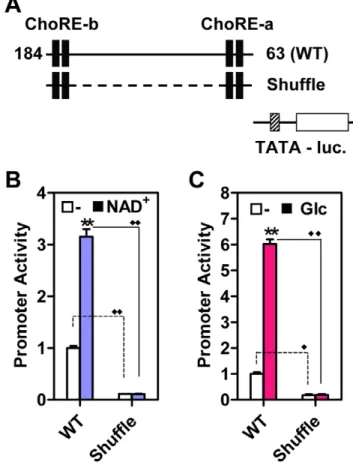 Figure 6. Two ChoREs are not sufficient for mediating stimulatory effect of NAD + or glucose