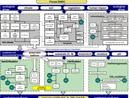 Fig. 2. Structure of the Forest-DNDC model.