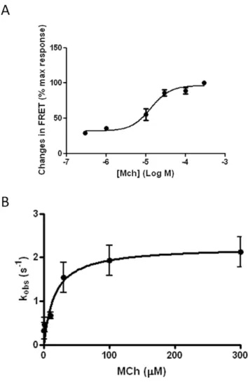 Fig. 3C) a robust increase in phospho-ERK1/2 was observed in HEK293-M 1 -cam5, but not wild-type HEK293 cells