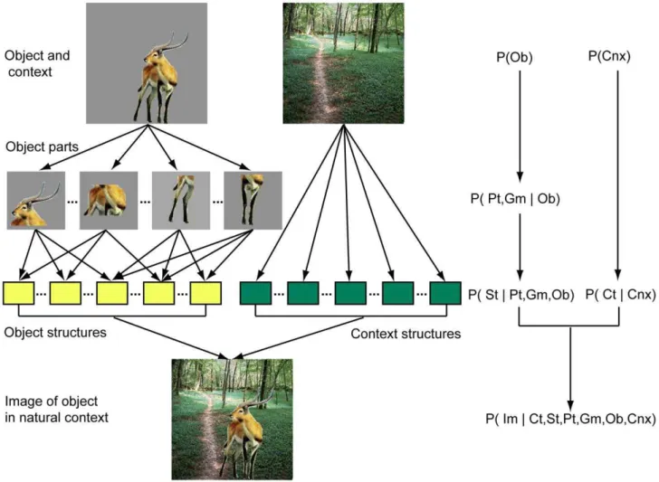 Figure 3 shows two structures, one for the zebra and one for the background. The two structures captured the main patterns in luminance variation in the scene patches but did not match them pixel by pixel since the structures shown here were averages of ma