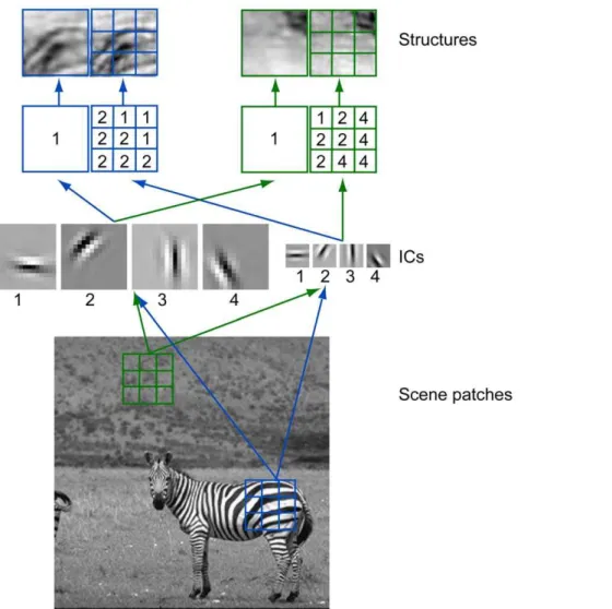 Figure 5D shows the normalized frequency of 4,481 structures shared by at least 10% of the cars in the training set