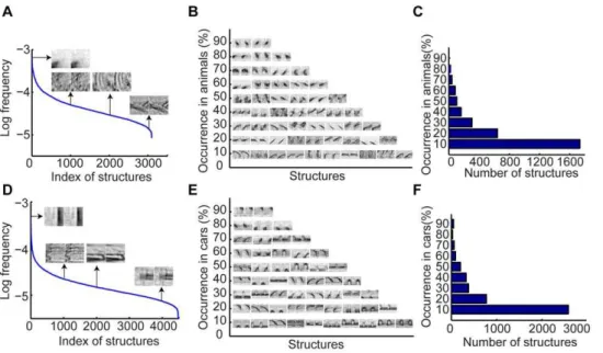 Figure 6D shows the performance on categorizing cars using individual structures that were shared by more than 70% cars in the training set