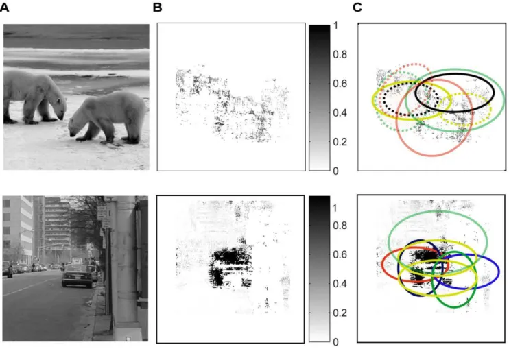 Figure 8A shows examples of animal scenes and distractors in the dataset. These examples make the challenge of detecting animals clear: there are a variety of animals and large variations in the pose, size, texture, and position of the animals in the scene