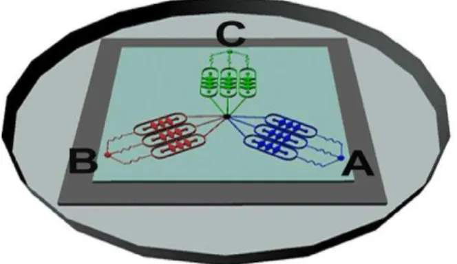 Figure 2. Illustration of medium flow direction in the micro- micro-fluidic device. The blue, red and green indicators represented control group, EGF group, GM6001/EGF group respectively