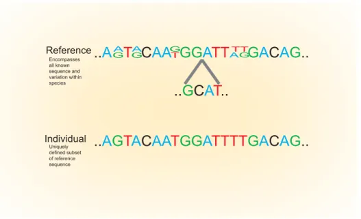 Figure 1. Conceptualizing the Genome. The determination of many thousands of genomes will require a precise definition of what a genome sequence represents