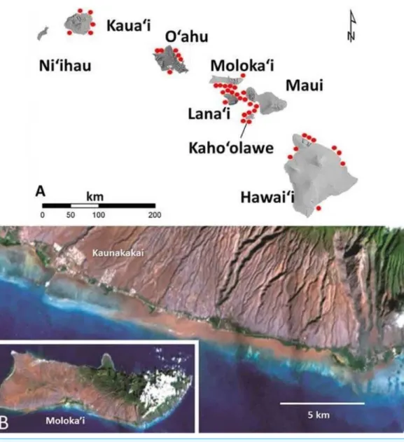 Figure 1 Images of red terrigenous sediment in the Hawaiian islands. (A) Map of the main Hawaiian Islands showing areas with heavy red mud deposits
