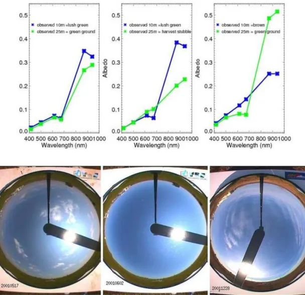 Fig. 3. Examples of (top) MFR measurements and (bottom) TSI images for several different surface types as indicated by observers in the surflog datastream.
