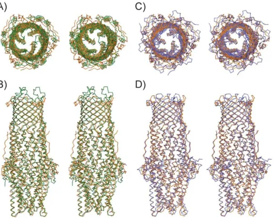 Figure 5. Structural comparisons between CusC, TolC and OprM. Stereoview of superimposed ribbon models of CusC (orange) and TolC (green; PDB-code 1EK9), viewed from the extracellular side (A) and from the side (B)