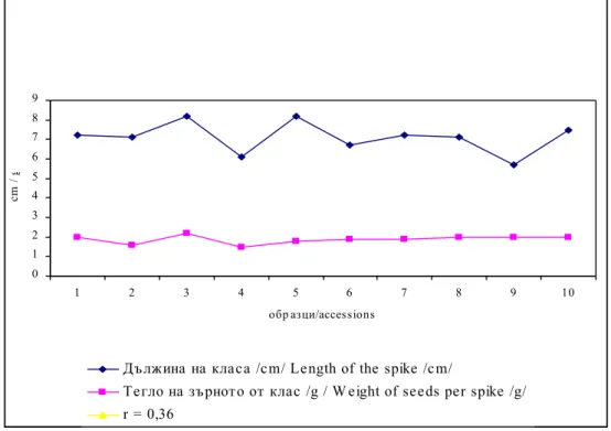 Fig. 6 Correlation between length of the spike /cm/ and weight of seeds per spike /g