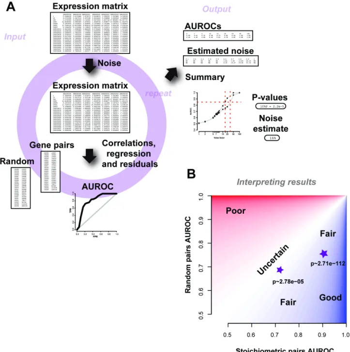 Fig 9. Schematic of the AuPairWise method and guidelines for interpreting results. (A) Input into the script is an expression matrix