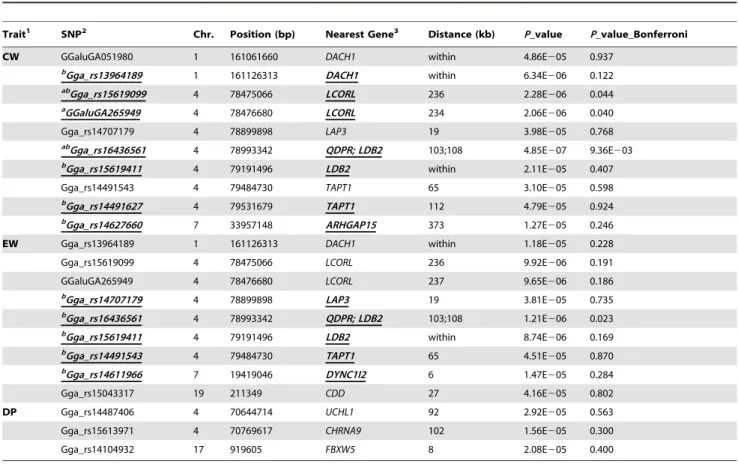 Table 5. SNPs with genome-wide and suggestive significance for carcass weight, eviscerated weight and dressed percentage traits.