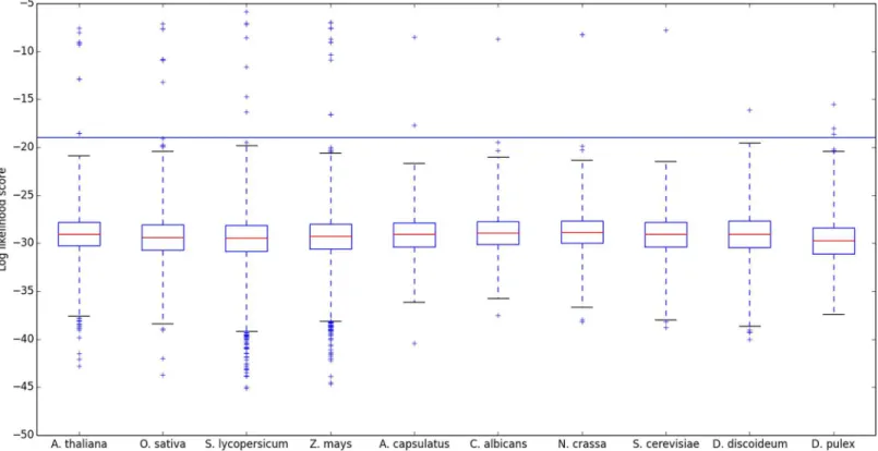 Fig 5. Logged motif likelihood score distributions of select eukaryotic proteomes. Four plant species are followed by four fungi, a protist, and an arthropod