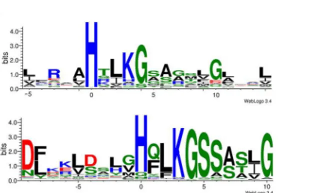 Fig 2. Representation of amino acid conservation flanking the reactive histidine of diverse HPt domains