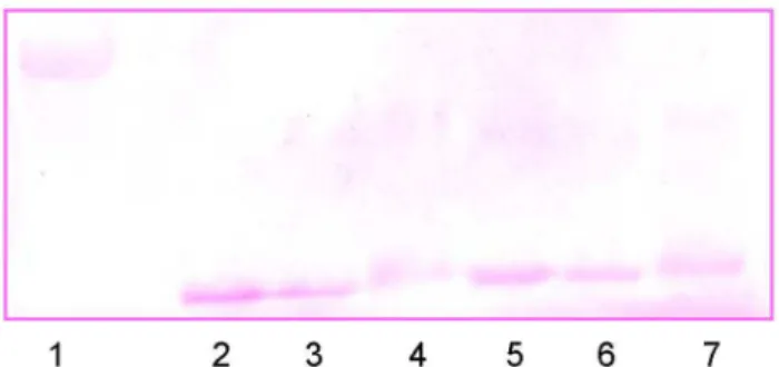 Figure  10.    Determination  of  the  mass  of  glycated HEWL.    MALDI  TOF  spectra  of  different  HEWL  solutions obtained after an incubation of γ1 days at pH 7.4 at γ7 °C (a) Native HEWL (14γ45.γ0 Da) (b) HEWL-glucose (15401.ββ Da) (c) HEWL-fructose