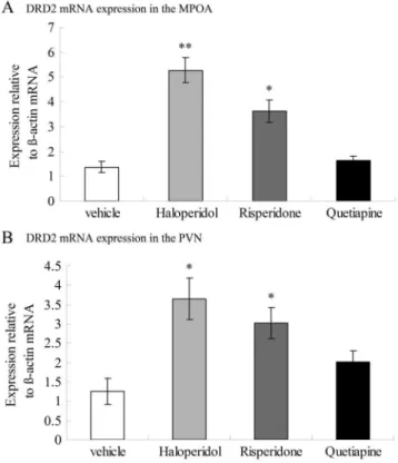 Figure 3. Expression of DRD2 mRNA in the MPOA (A) and the PVN (B) following three weeks of antipsychotic drug  adminis-tration
