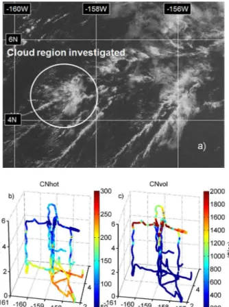 Fig. 3. GOES visible image (top) for 22:30 UTC during RF04 cloud study (15 August 2007)