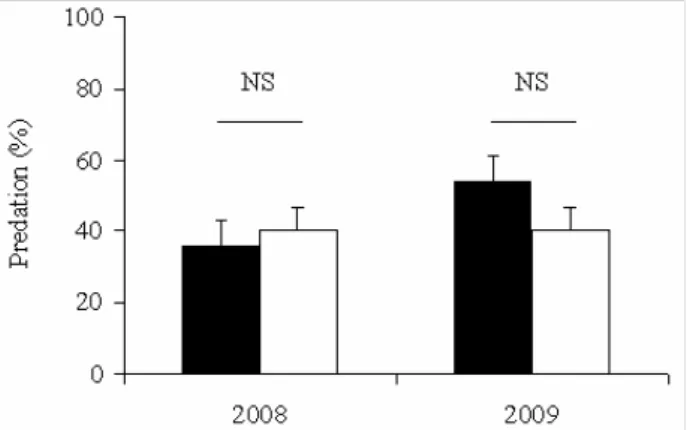 Fig. 3. Predation rates in April and June 2008 and 2009 (black