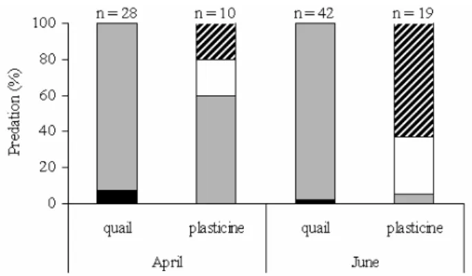 Fig. 5.  Proportions of broken and removed eggs, and the  distribution of predators of plasticine eggs (2008-2009), April and June