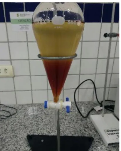 Figure 2: Separation of phases. Biodiesel on the top and glycerin on the bottom. 