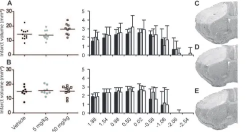 Figure 2. Messenger RNA levels of Nrf2 related gene products.