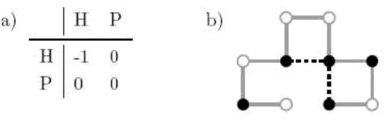Figure 2: A description of the HP model. (a) Energy matrix, the no covalent interactions between amino acids of H type reduce the current energy level