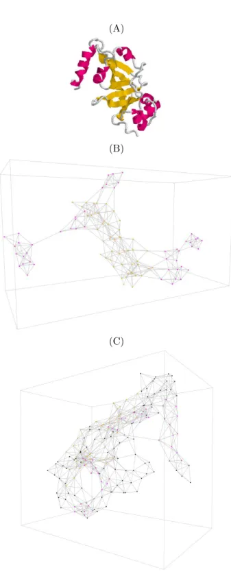 Figure 3: Protein 1DTP (top), its SSE-IN and its 3DSE- 3DSE-IN (bottom). From a pdb file a parser we have  devel-oped produces a new file which corresponds to the  SSE-IN graph displayed by the GraphStream library.